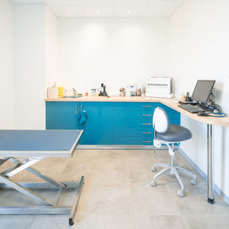 agencement salle attente veterinaire ergonomie saint malo ille et vilaine